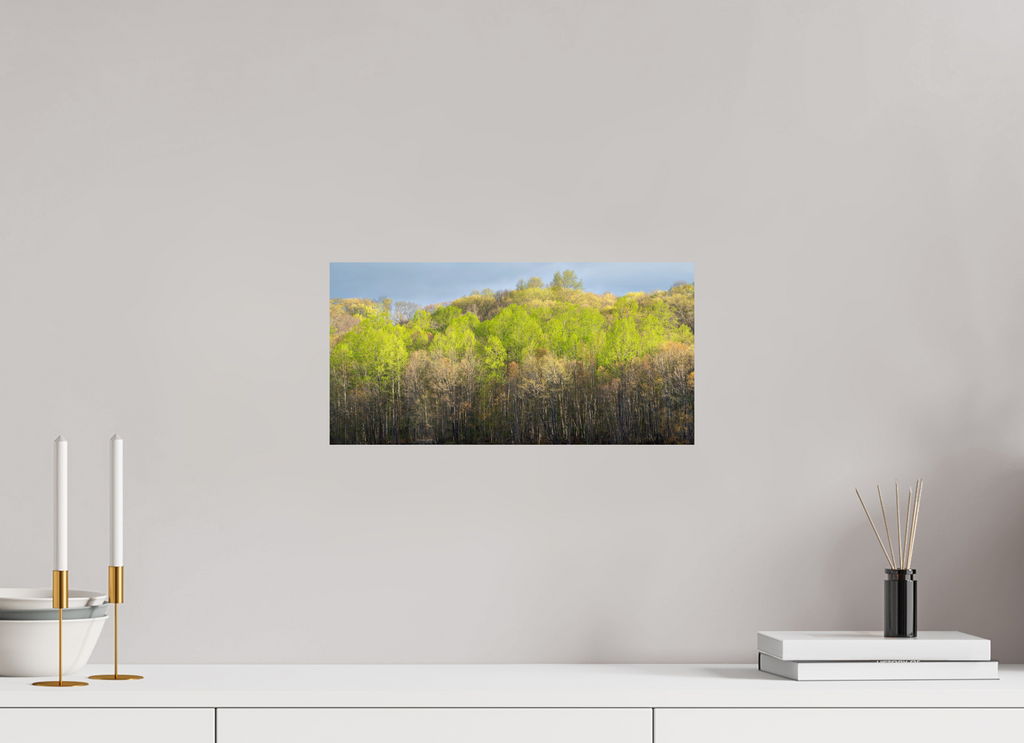 16 x 8″, Photo Print On Fuji Crystal DP II Vibrant Spring