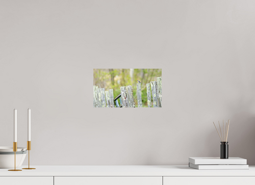 12 x 6.8″, Photo Print On Fuji Crystal DP II Farm Road Side