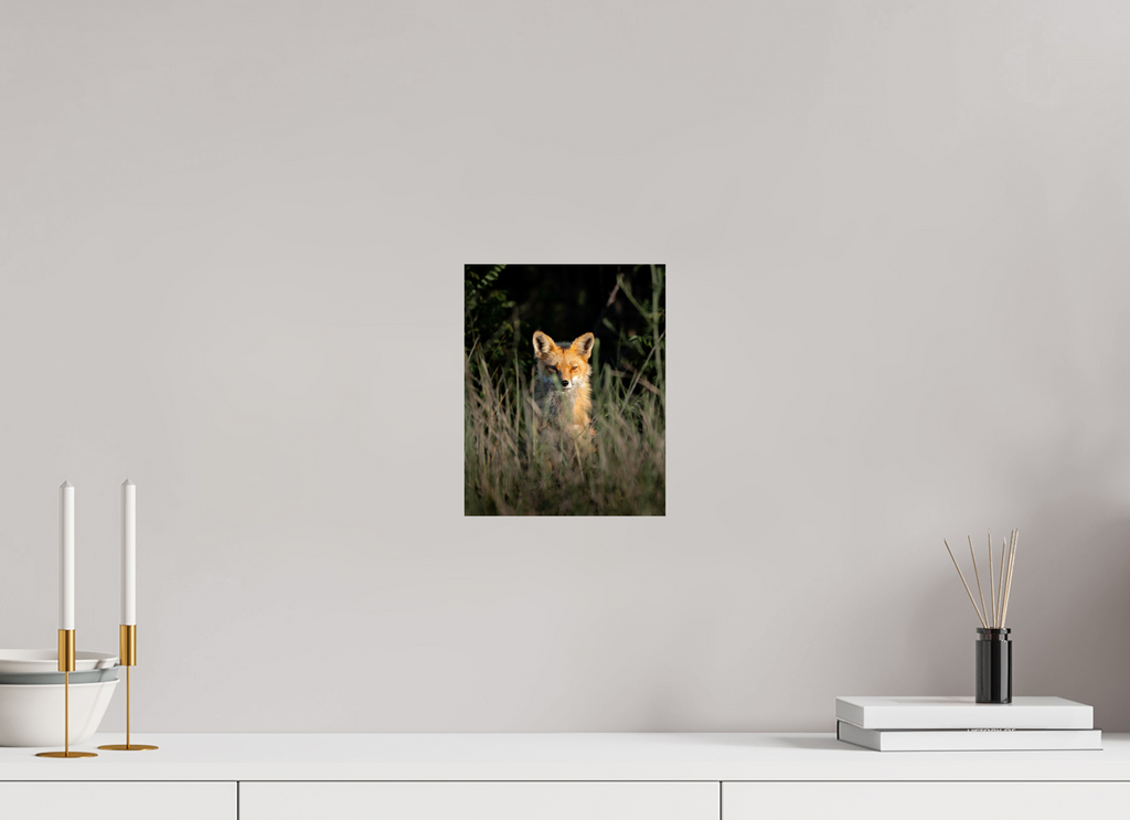 8 x 10″, Photo Print On Fuji Crystal DP II Morning Calmness