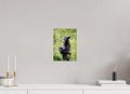 8 x 11.2″, Photo Print On Fuji Crystal DP II The Stare